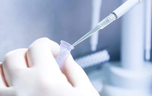 Close up of scientist's hands in lab working.