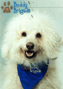 AVCVA CHKD Buddy Brigade Chester Nexsen