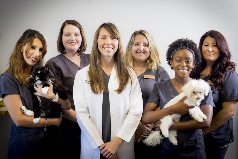 2018 Staff Photo | Animal Vision Center of VA