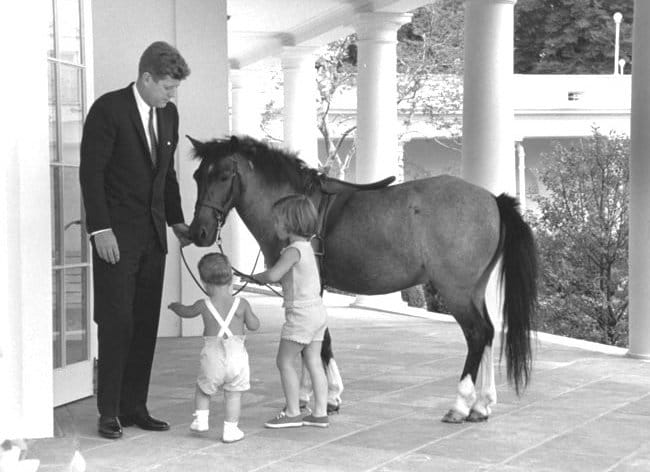 Presidential Pets | JFK Pony Named Macaroni | Animal Vision Center of VA