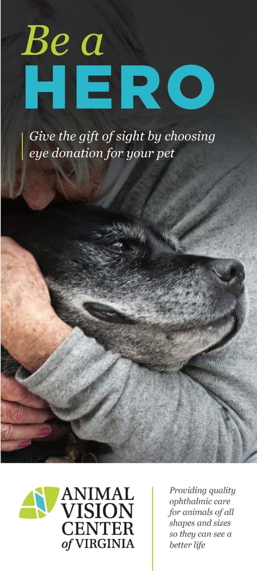 Corneal Transplantation Brochure Be a Hero Animal Vision Center of