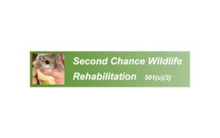Second Chance Wildlife Rehabilitation