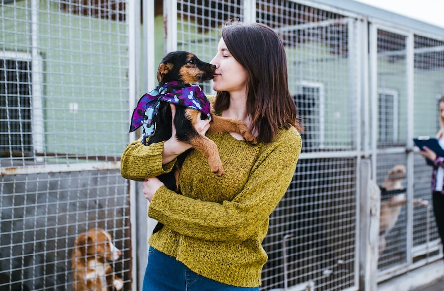 Saving Lives, One Pet at a Time Animal Vision Center of VA