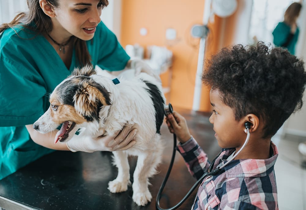 Advice for New Pet Parents