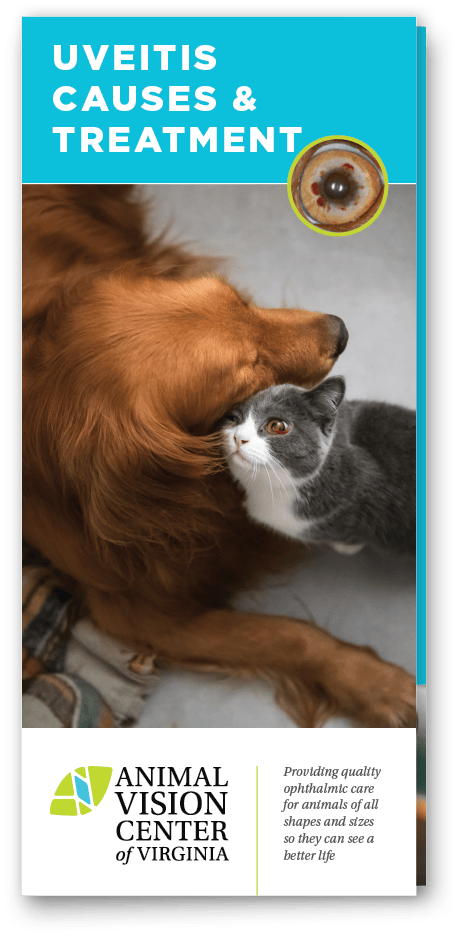 Uveitis Causes & Treatment Brochure Cover