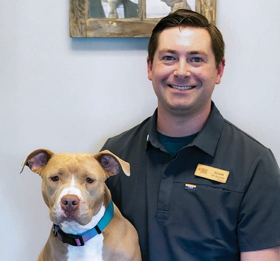 Meet Our Team at Animal Vision Center of VA
