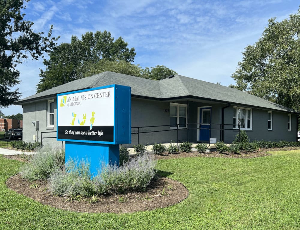 New Animal Vision Center of Virginia Provides Complete Ophthalmic Care