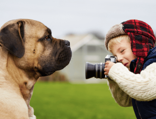 They ought to be in pictures! Enroll your pet in our In Focus Pet Photo Contest