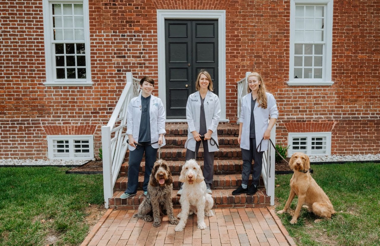 Dr. Romaneck, Dr. Brookshire and Dr. Radulovich pose with Dr. Brookshire's beloved dogs: Bodhi, Fergus and Orin