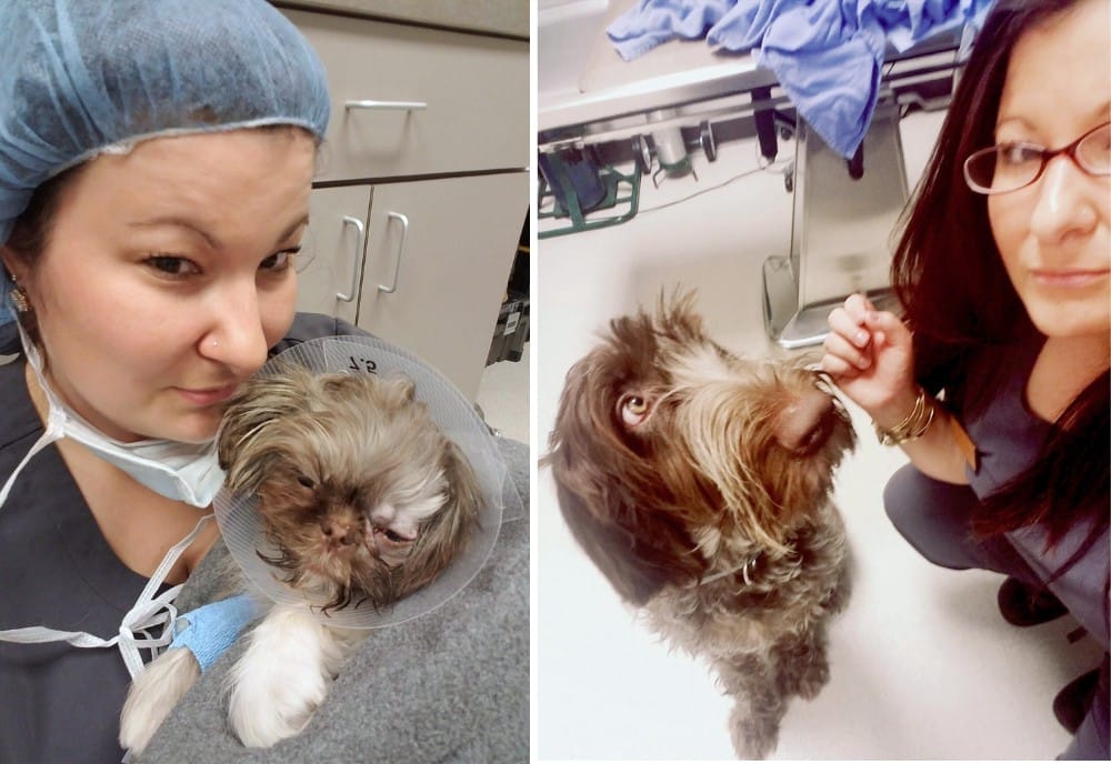 AVCVA Office Manager, Melissa Noblett